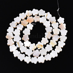 Нити бусин из натуральных пресноводных ракушек&nbsp;SHEL-S276-111A