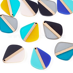 10 шт. подвески из прозрачной и непрозрачной смолы и дерева 5 цветов&nbsp;RESI-TA0004-64