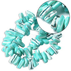 1 нить окрашенных натуральных бусин из ракушек трохус&nbsp;SSHEL-PA0001-01D