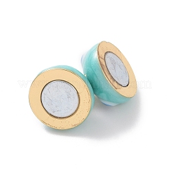 Fermoirs magnétiques en laiton&nbsp;ZIRC-F136-10G-01