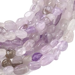 Natürlichen Amethyst Perlen Stränge&nbsp;G-C286-A24