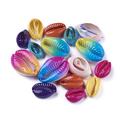 Perle di conchiglia di ciprea&nbsp;SHEL-X0004-04