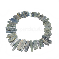 Chapelets de perles en cyanite / cyanite / divalent naturel&nbsp;X-G-S318-15