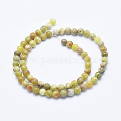 Serpentine naturelle perles de jade brins&nbsp;G-P353-06-6mm