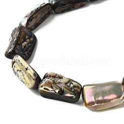 Нити бусин из натуральной раковины морского ушка/ракушки пауа&nbsp;BSHE-D300-01B