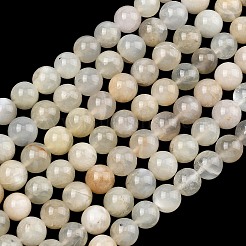 Натуральный белый лунный камень бисер пряди&nbsp;G-C277-A01-10mm