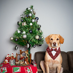 Носовой платок из полиэстера&nbsp;AJEW-WH20009-28D