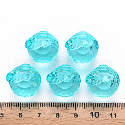 Прозрачные акриловые подвески&nbsp;TACR-T024-05B-946