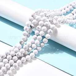 Fili di perline howlite sintetico&nbsp;G-E568-04B