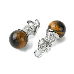 Природных тигровый глаз подвески&nbsp;G-C114-04P-16