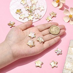 20 шт.&nbsp;BSHE-CJ0001-08