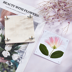 Pressemappe für Blumen und Blätter&nbsp;DIY-WH0319-36