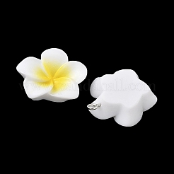 Подвески из непрозрачной смолы&nbsp;FIND-K024-01