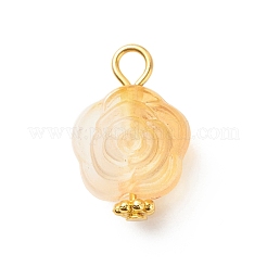 Двухцветные подвески из прозрачного акрила&nbsp;PALLOY-JF01835-01