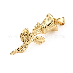 Латунные подвески&nbsp;KK-K408-35B-G