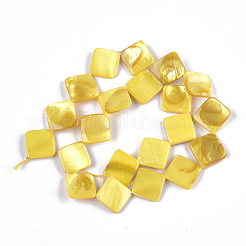 Perle di conchiglia d'acqua dolce dipinte a spruzzo&nbsp;SHEL-T010-06B