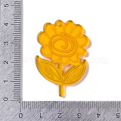 Акриловые подвески&nbsp;OACR-R271-07B