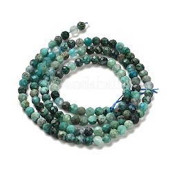 Chapelets de perles en chrysocolle naturelle&nbsp;G-K373-B06-03