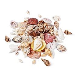 Gemischte Muschelperlen&nbsp;BSHE-TA0002-05
