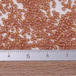 Miyuki Delica Perlen&nbsp;SEED-MY11-DB0866