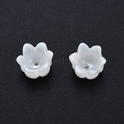 Cappucci di perline di conchiglia bianca naturale&nbsp;SSHEL-G024-03A