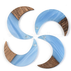 Pendentifs en bois de résine et de noyer&nbsp;X-RESI-S389-056B