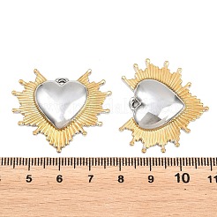 Colgantes de acero inoxidable 304 para San Valentín&nbsp;STAS-D265-05GP-02