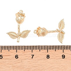 Messing Anhänger & Charms&nbsp;KK-A288-01G-07