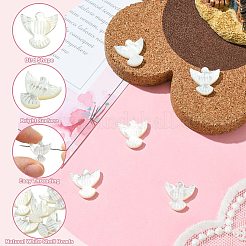 Бусины из натуральных ракушек&nbsp;BSHE-H017-02