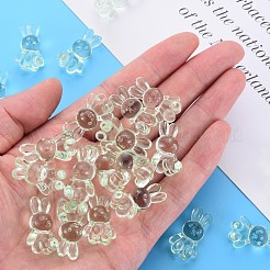 Прозрачные акриловые бусины MACR-S373-81-B02