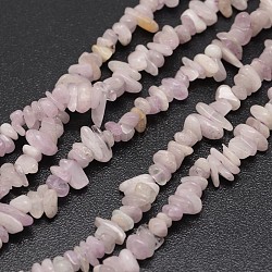 Chip kunzite naturale perline fili, perle di spodumene, 3~8x3~12x3~5mm, Foro: 1 mm, circa 16 pollice
