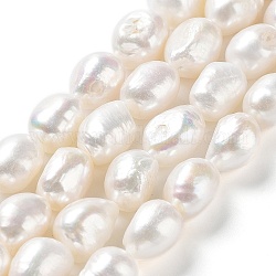 Fili di perle di perle d'acqua dolce coltivate naturali, due lati lucidati, grado 5 un, colore conchiglia, 13~14x10~11x8~9mm, Foro: 0.6 mm, circa 32~36pcs/filo, 15.55'' (39.5~40.5 cm)