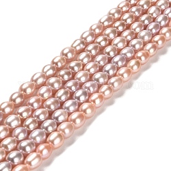 Fili di perle di perle d'acqua dolce coltivate naturali, riso, grado 4a+, salmone scuro, 6~8x5~6mm, Foro: 0.5 mm, circa 54pcs/filo, 14.65'' (37.2 cm)