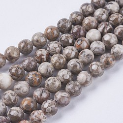 Maifanita natural/hebras de cuentas de piedra maifan, redondo, 4mm, agujero: 1 mm, aproximamente 96 pcs / cadena, 15.5 pulgada (39.4 cm)