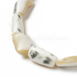 Fili di perle di conchiglia trochid naturale / trochus, pepite, verga d'oro pallido, 13~16x8~13x5~8mm, Foro: 0.9 mm, circa 25pcs/filo, 15.35 pollice (39 cm)