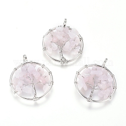 Ciondoli quazo rosa naturale, con accessori di ottone, piatta e rotonda con l'albero della vita, platino, 29x5~7mm, Foro: 4.5 mm