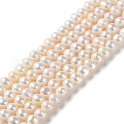 Chapelets de perles de nacre naturell, ronde, Note 3 un, papayawhip, 5~5.5mm, Trou: 0.5mm, Environ 76~83 pcs/chapelet, 15.16~15.35'' (38.5~39 cm)