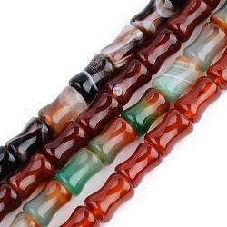 Chapelets de perles d'agate naturelle, mélangé teint et non teint, en forme de joint en bambou, 12x8mm, Trou: 1.2mm, Environ 33 pcs/chapelet, 15.55 pouce (39.5 cm)
