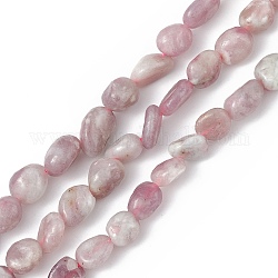 Natural Plum Blossom Tourmaline Beads Strands, Chip, 4~8x3~7x3~7mm, Hole: 0.9mm, about 61~64pcs/strand, 15.35''(39cm)
