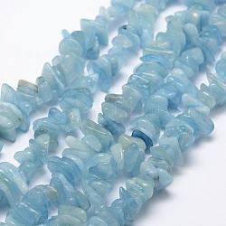 Natürliche Aquamarin Perlen Stränge, Nuggets, Himmelblau, 8~20x2~5 mm, Bohrung: 1 mm, 15.3 Zoll (39 cm)