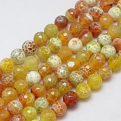 Natural Fire Agate Beads Strands, Faceted Round, Dyed, Gold, 12mm, Hole: 1mm, about 30pcs/strand, 14.56inch