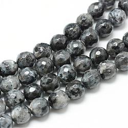 Brins de perles de larvikite naturelle, teinte, ronde à facettes, 10mm, Trou: 1mm, Environ 38 pcs/chapelet, 14.5 pouce