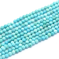 Natural Howlite Beads Strands, Faceted, Dyed & Heated, Round, 3.5mm, Hole: 0.6mm, about 129pcs/strand, 15.55 inch(39.5cm)
