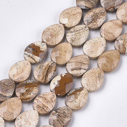 Natural Picture Jasper Beads Strands X-G-S354-06-1