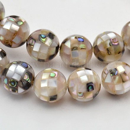 Natural Shell Beads Strands SSHEL-N012-06-1