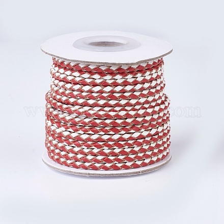 Cuerdas de cuero trenzado WL-P002-05-A-1