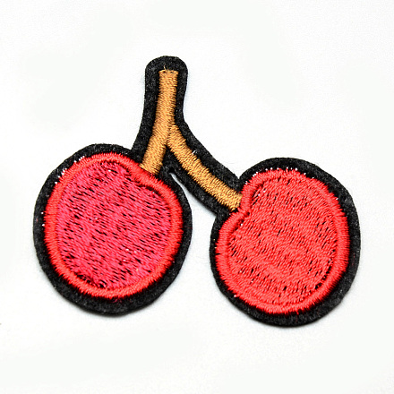 Computerized Embroidery Cloth Iron On/Sew On Patches AJEW-S066-15-1