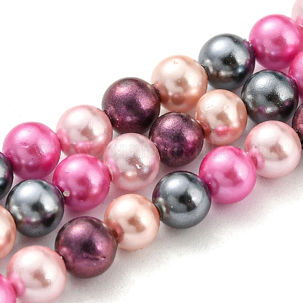 Brins de perles de coquillages naturels galvanisés SHEL-F008-03A-09-1