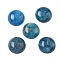 Natural Apatite Cabochons, Half Round/Dome, 20x7~8mm