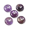 Natural Amethyst Donut/Pi Disc Charms, 14~14.5x4mm, Hole: 4mm